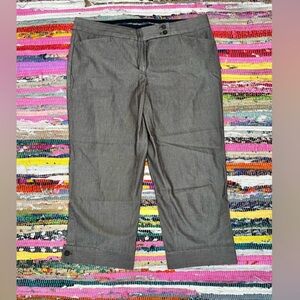 Capris | Express—“Editor”